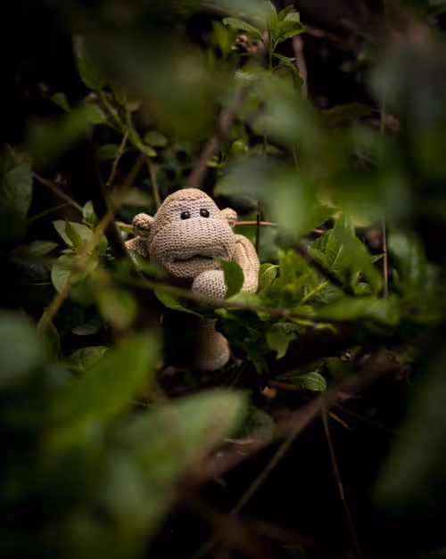 Item #108306877800807607984696183455629240131551285879430987987439970678747061813249 Media