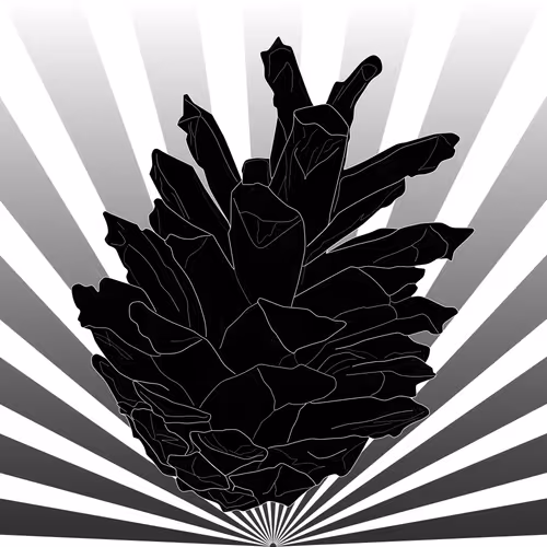 Item #51684206879132971117287575805148041327006568930595361555171380766725543821313 Media