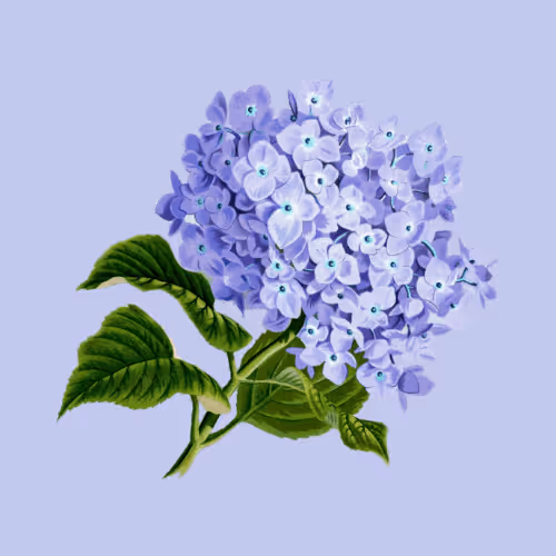 Item #11345277294321805490950982682706921649721953038596019142075108502684620029953 Media