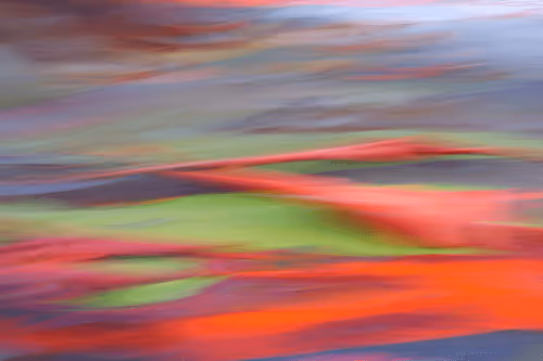 Item #23265726314410109476129301555838572111439838682222879854994044454233910018049 Media