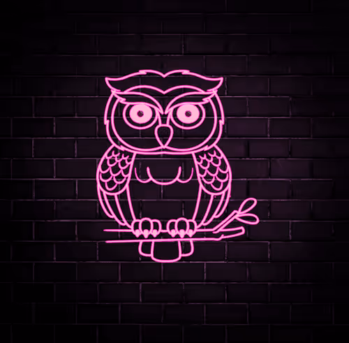 Neon 26 