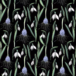 31081804352330578596568685091517160537930858517835942894700269874564011393025