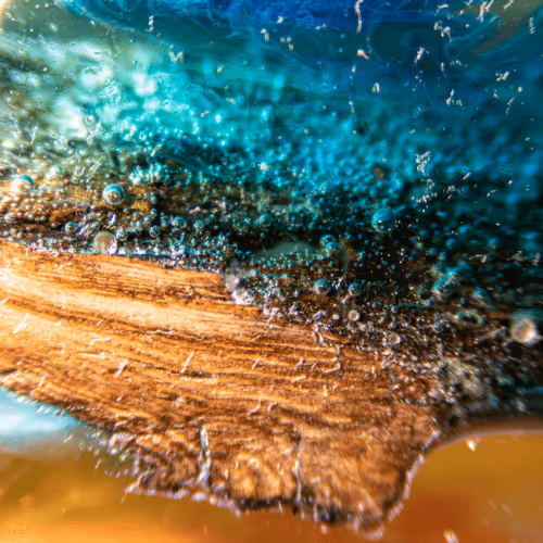 Item #8251270981130702250905355697814279819197198943221984468281114906306925297665 Media