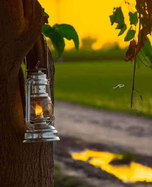 Item #9104047852343460824823657095955061139286762947505329334286274213708379979777 Media