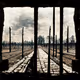 63985393251421161288599695397622377498906165088217459538489606538679174561793