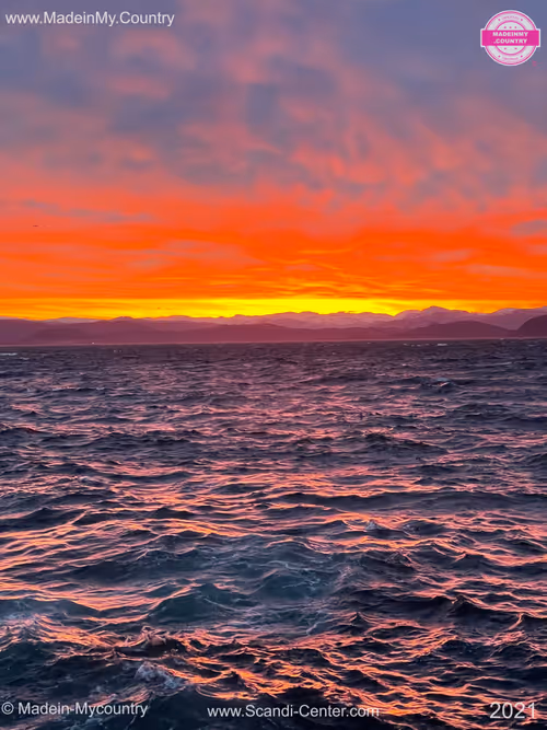 Item #21218919643484846679386017214105436286474954155539936946797714422752570507314 Media