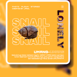 HERMIT CRAB 0.3