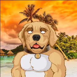 91655410557744893771831586830451060185116832686887291820253909963009142292481