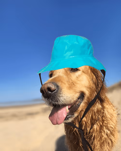 Item #26839399415497039076862880694069072006331525189107682525417321732408040488961 Media