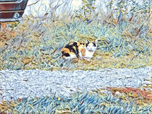 Item #46397680814911453718365897270123246439130732684861044295736256102303900106753 Media