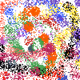 82558719673937565565229520911453463002522710774262960082125782248489335390209