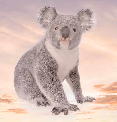 Item #75086745474347274452093740593438062832653814310012917017256883097926960676865 Media