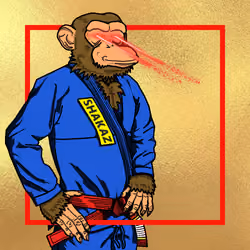 Ape Shakaz #403