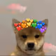 63923600519931118237435410532122469759880506138640015303386173941846913318913