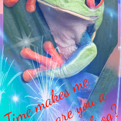 Untitled Collection #46784363