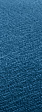 Untitled Collection #92049682