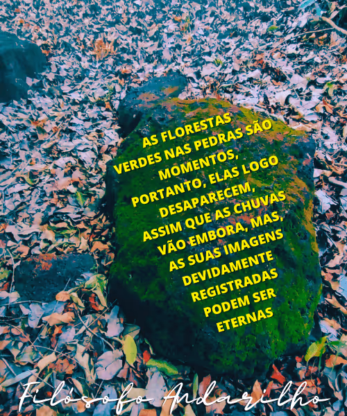 Item #42165497215799268651933513800091680414625417379712449060150831255015772913665 Media