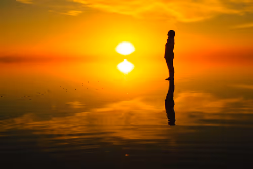 Item #109856220298400902651076580767902450481001671145135042895744925551902505041921 Media