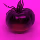 110692649264369377071495627220392981109400302920527361961030166701965997768705