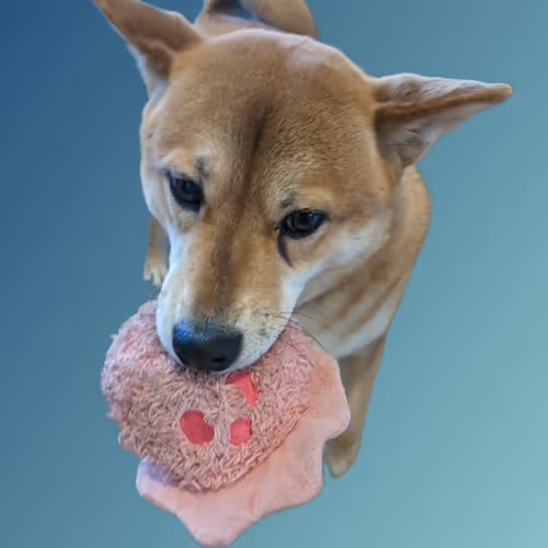 Item #75326874550880600326490188935567191876487813911489107474527429758787061284865 Media
