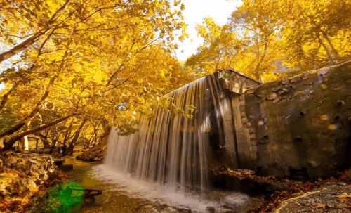 Item #56114376456071127857600424164689415620023799023345491191686521121688464130049 Media