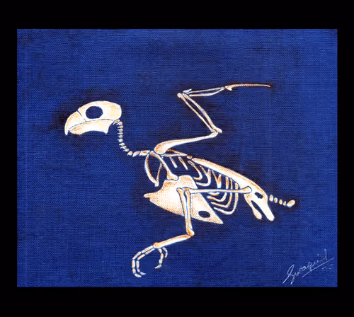 Item #88392049109375850439574262012811564620955616675651121480724544700600272551937 Media