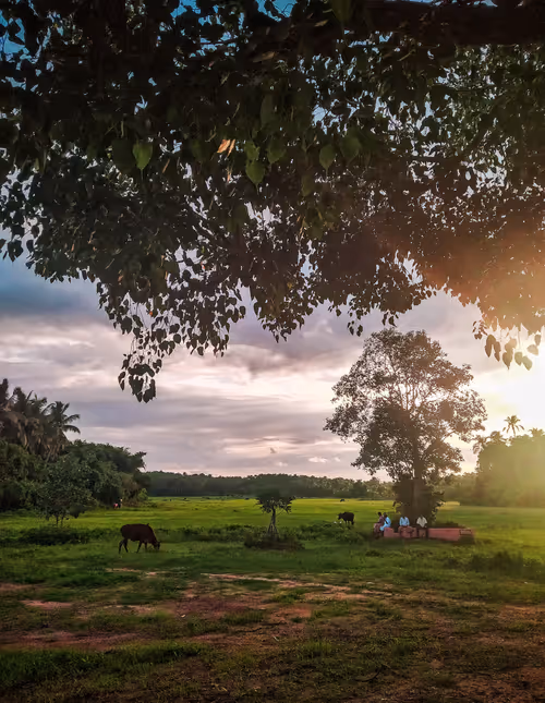 Item #28867866993334882598133734487112782036295715291054237019824225647900661645313 Media