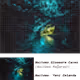 3821410483825715841908162634652753554632613813511845871518729675447411408897