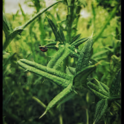 3787080761074609709675817509753112159059746763483256848434353918436221911041