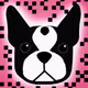 80658368129337691042389905778856592011954451497496062341822314070549674852362
