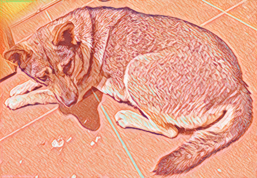 Item #74122138759525378795667626270866148487737655975912799548892276433168055140353 Media