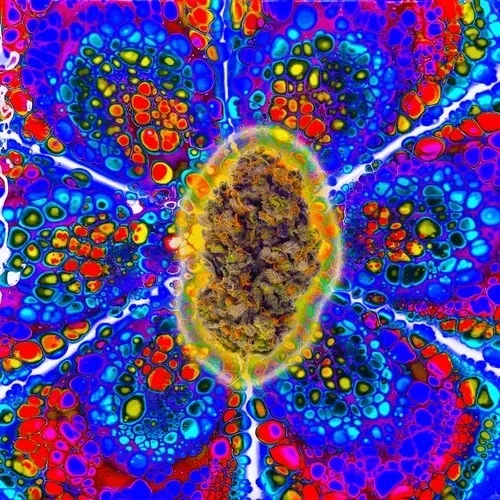 13955282856406335165414100891374623718709547313428947888299034014330927448065