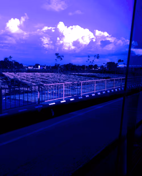 Item #28232323143589520673499578737041692817354534714400502973478354641460825948161 Media