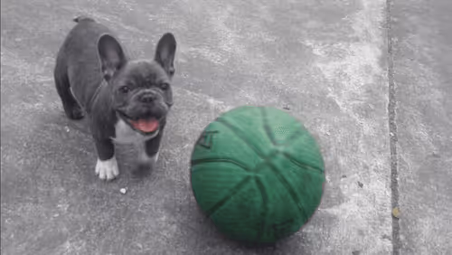 32237202173720727343948986965561335091197107318394763909165930975909352833025