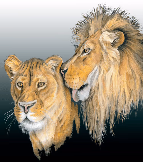 Item #19003623899246815451934878445835527455573038671579596715807367204178556354561 Media