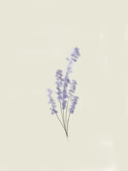 Item #14993265149039980897542067142831098559196492205517611617835635687502693531649 Media