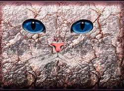 CatFace #015