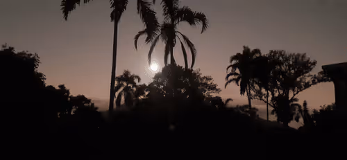 Item #67861325628159038088837015362560140858194589244017244618959753766230659432449 Media