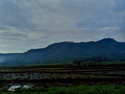 Item #68356916031059924921230192194445693761239192572255149021970435643805693640705 Media