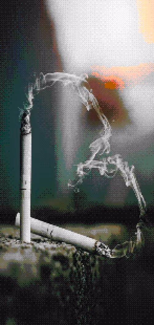 Item #30811687512936222812019848403034405815103538908942015009062010316371911507969 Media