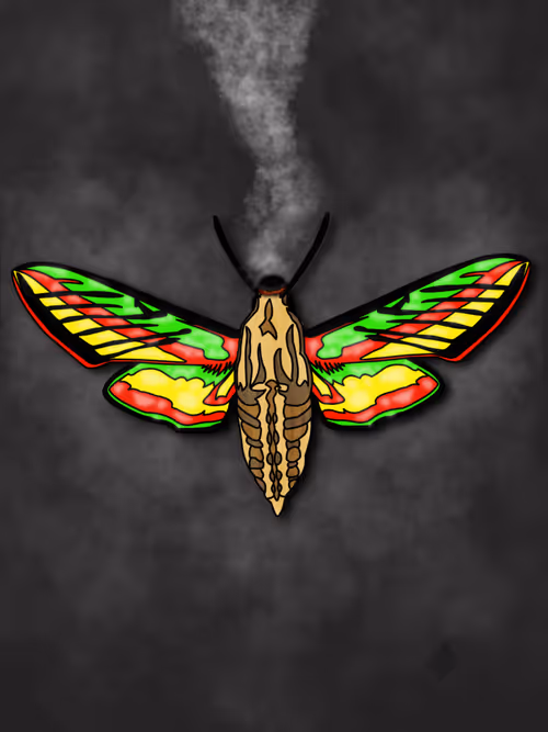 Item #26695375726130491819846042962505402337385115040526357390892607896225191034881 Media