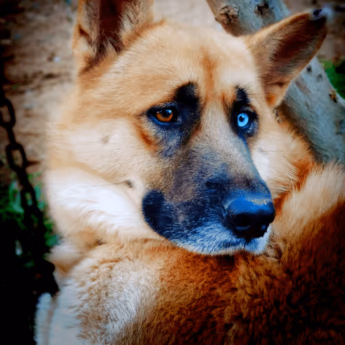 Untitled Collection #452435196