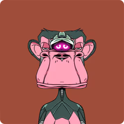 97561639571627388071356652907537601368549646480205712750088823969730378334308