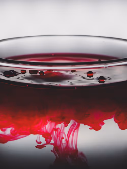 Item #39391070493116977564899321791408150162796374052111424108014134443637592817665 Media