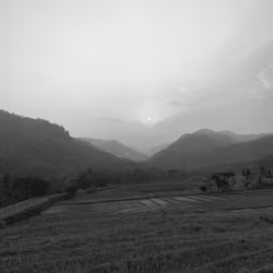 Full Of Silence