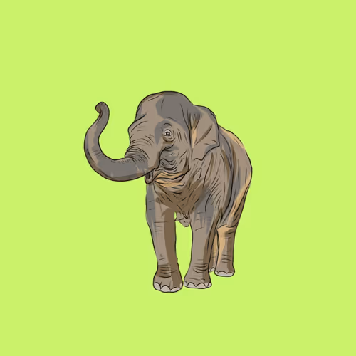 Item #39100040089724211732086654931507121209027915590441630210368001294036652523521 Media