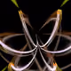 61561342063696083860603409898665470511703259770319170990514006647932790505473
