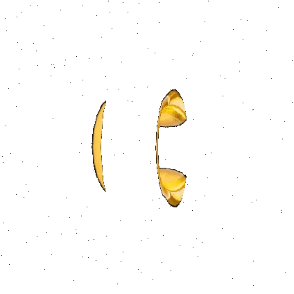 40799511042285301327357874049876474074929386668787873223552470826580910801896