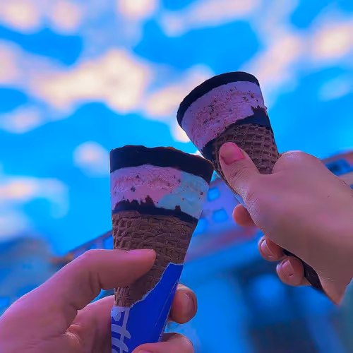 Untitled Collection #260619813