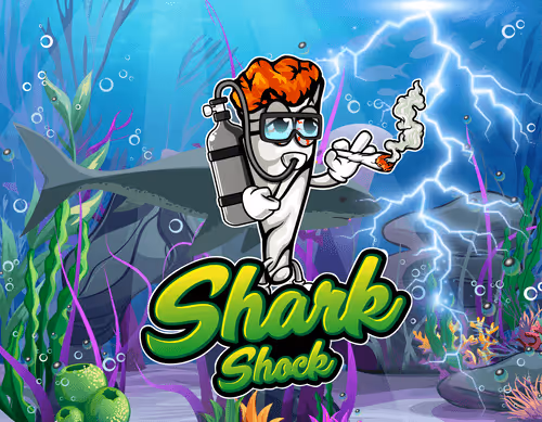 Item #27239952631208204475550635203214834624309968041134471540447875593010520522753 Media